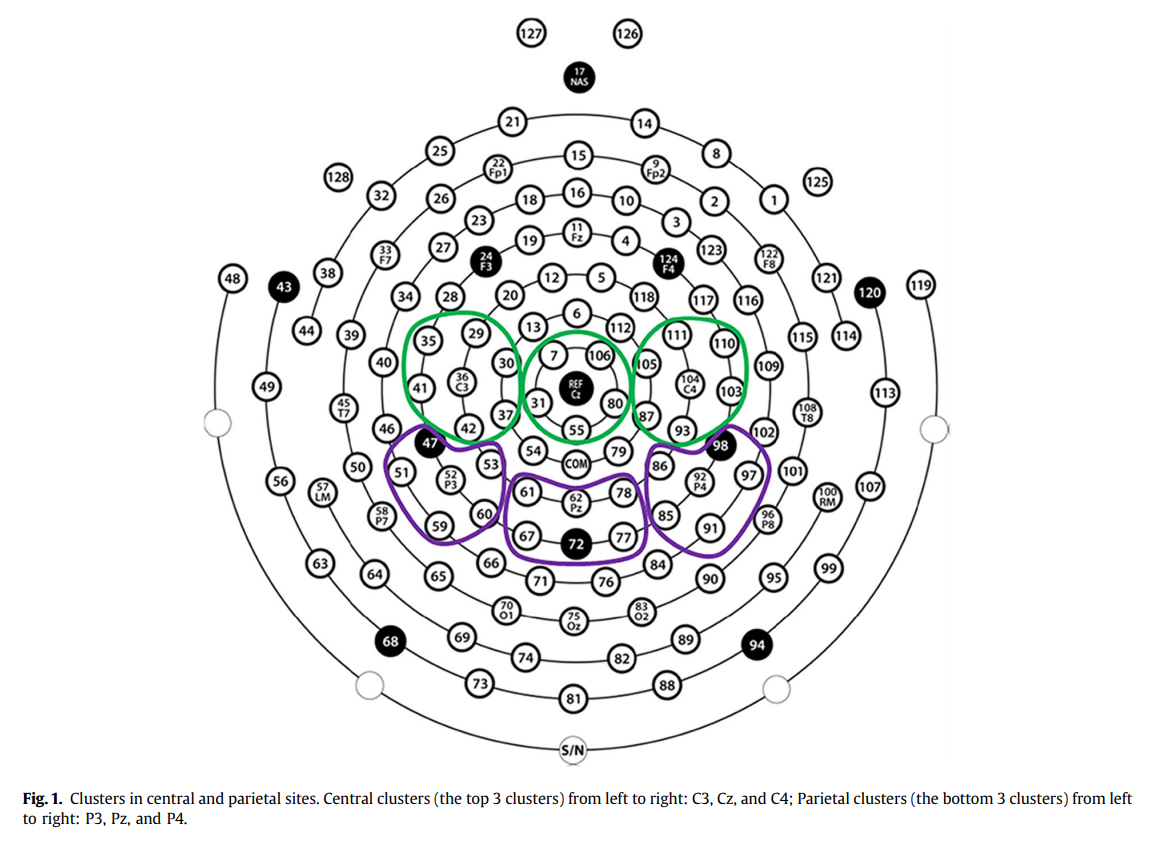 图2：中央及顶叶部位的电极选择