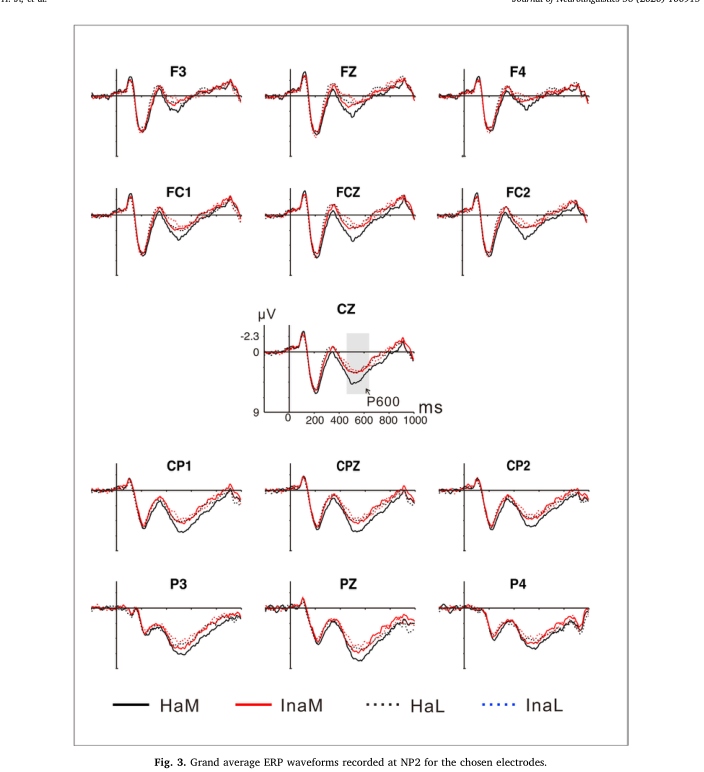 Fig-3